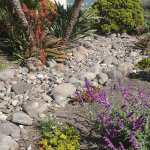 “Aqua Zen: Balancing Nature and Design in Your Water Garden”
