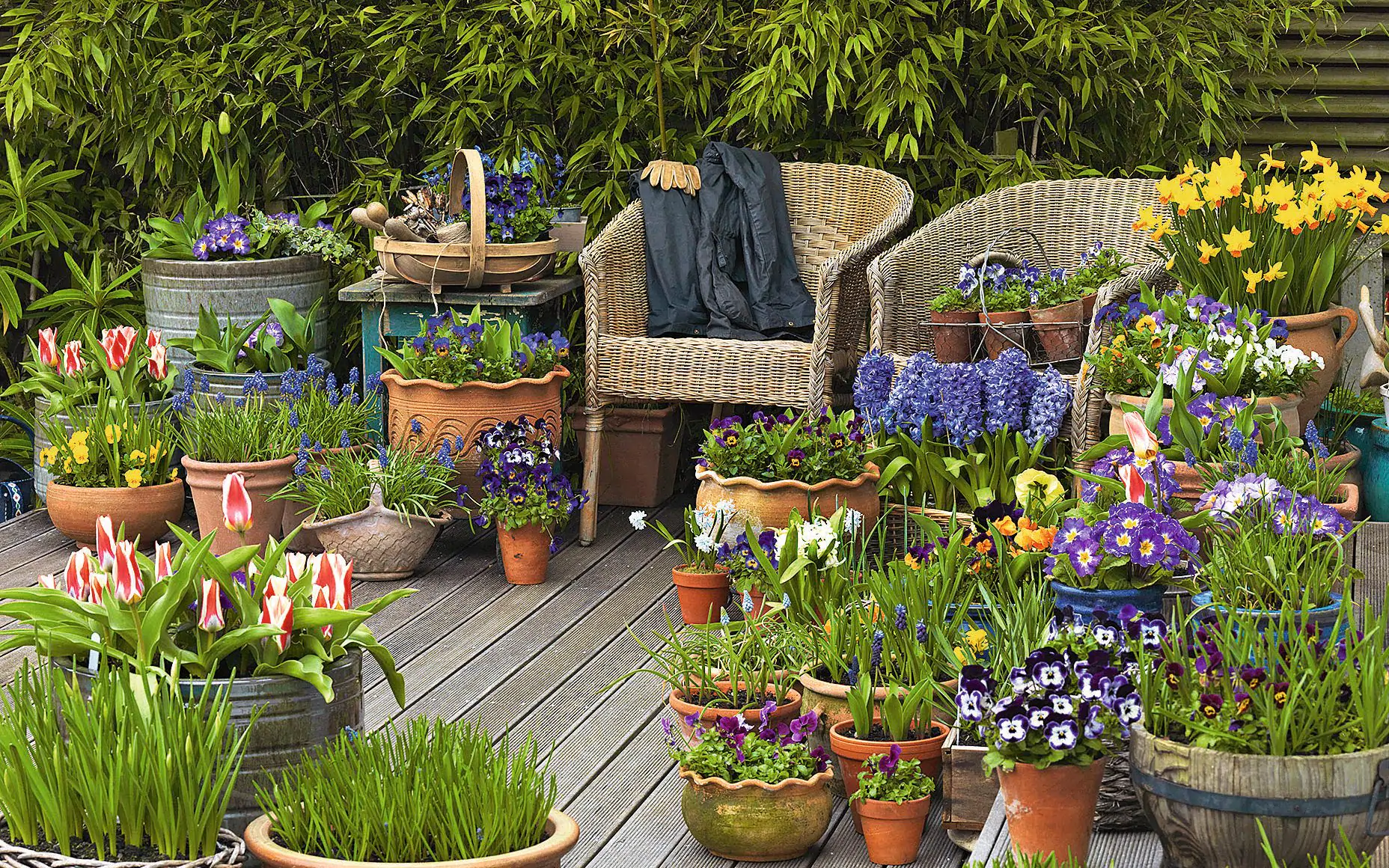 “Potting Paradise: 10 Inspired Garden Designs for Containers”