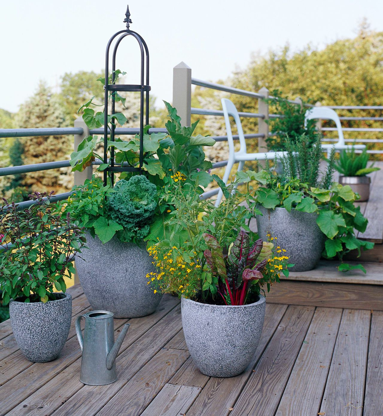 “From Pot to Plot: Elevating Your Outdoor Space with Potted Gardens”